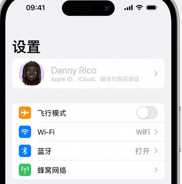 营口appleID维修服务iPhone设置中Apple ID显示为灰色无法使用