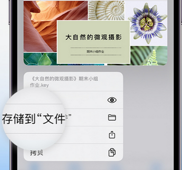 营口apple维修中心分享iPhone文件应用中存储和找到下载文件