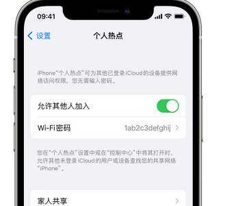 营口apple服务站点分享iPhone上个人热点丢失了怎么办