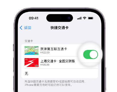 营口apple维修点分享iPhone上更换Apple Pay快捷交通卡手绘卡面 