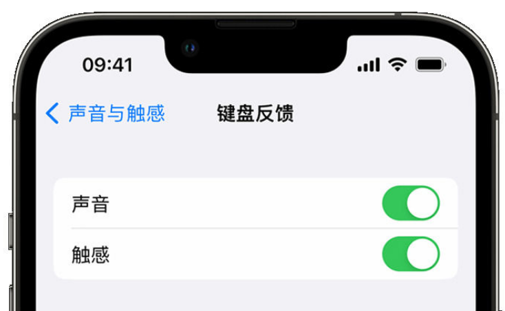 营口苹果手机维修分享iPhone 14触感键盘使用方法 