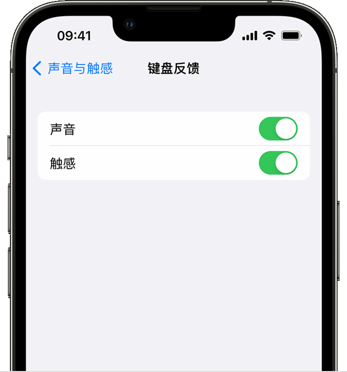 营口苹果14维修店分享如何在 iPhone 14 机型中使用触感键盘 