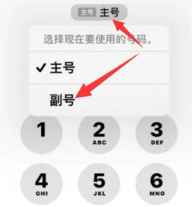 营口苹果14维修店分享iPhone 14 Pro Max使用副卡打电话的方法 