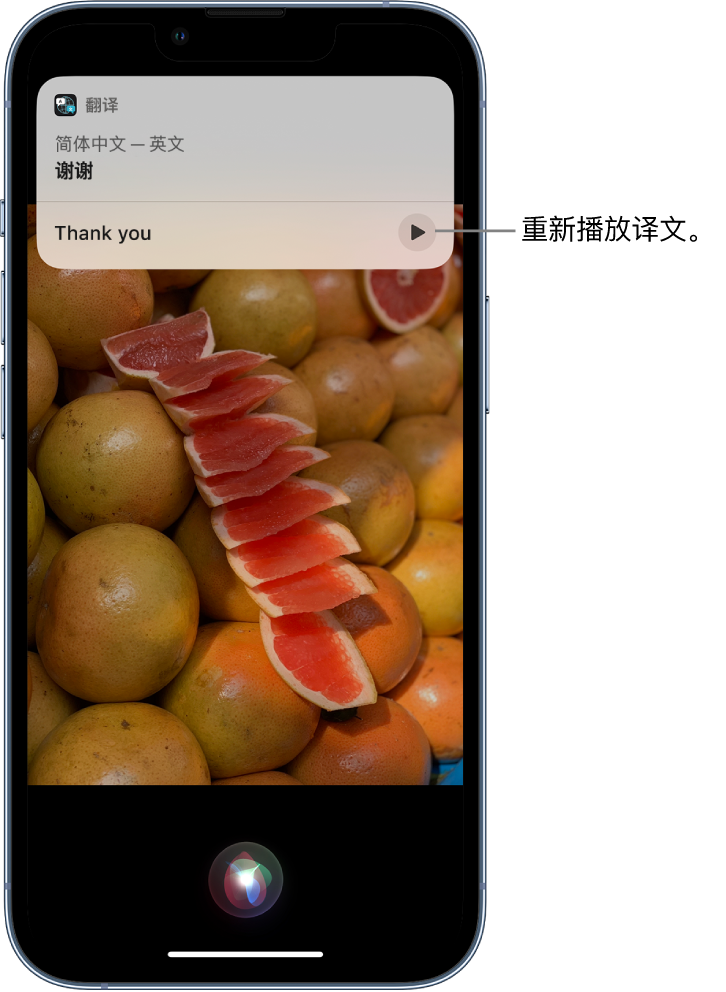 营口苹果14维修分享 iPhone 14 机型中使用 Siri：了解 Siri 能帮你做什么 