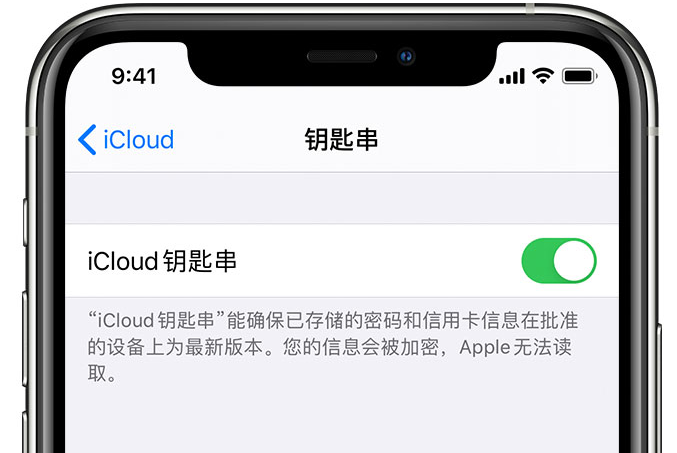 营口苹果手机维修分享在 iPhone 上开启 iCloud 钥匙串之后会储存哪些信息 