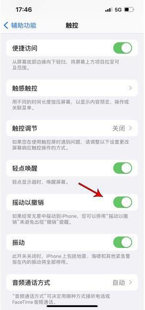 营口苹果手机维修分享iPhone手机如何设置摇一摇删除文字 